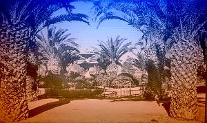 SAIDA 530  SQUARE CARNOT